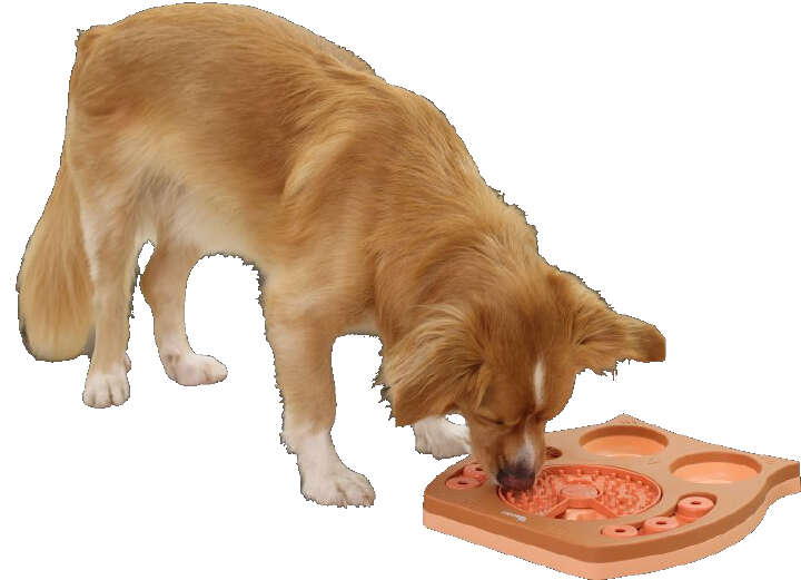 KERBL Lernspielzeug Eule